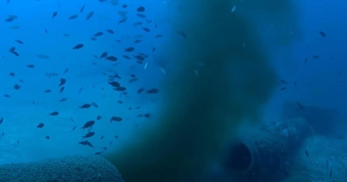 WSC, 'Doğrulanmamış' Kanalizasyon Videosuna Dayanan AB Dilekçesini Sorguladı