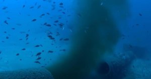 WSC, 'Doğrulanmamış' Kanalizasyon Videosuna Dayanan AB Dilekçesini Sorguladı