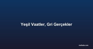 Yeşil Vaatler, Gri Gerçekler