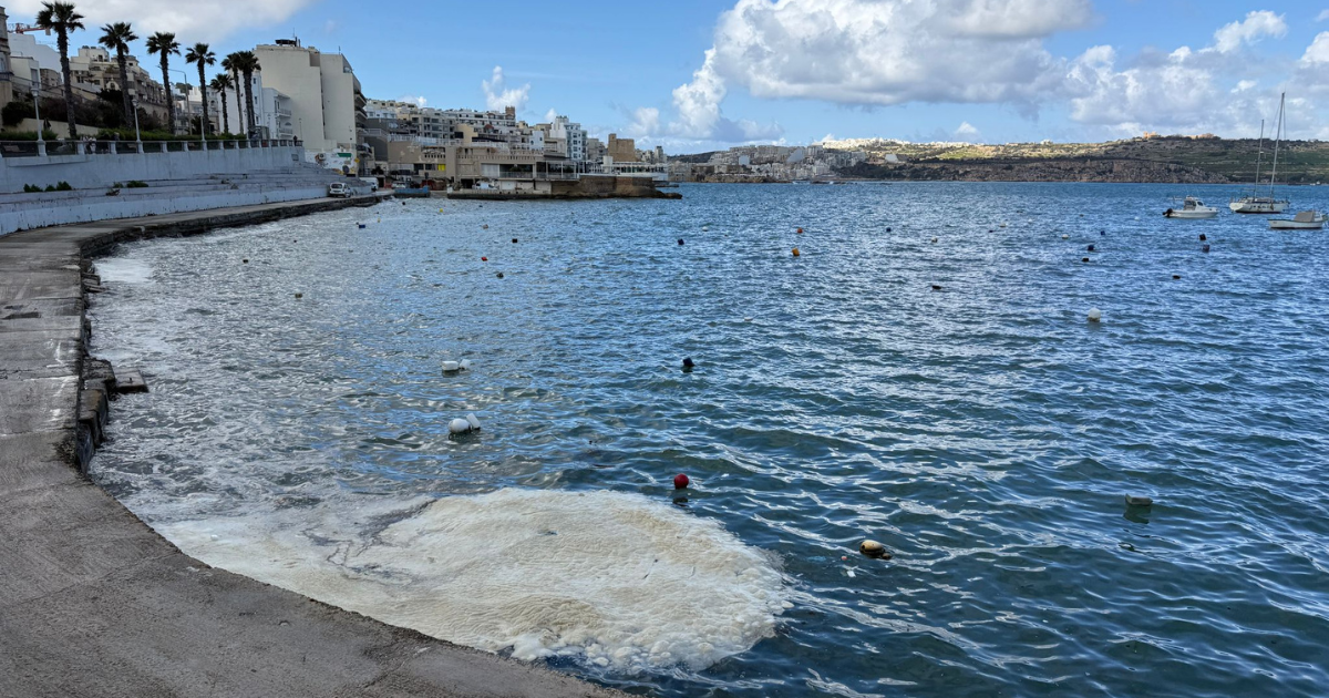 Balık çiftlikleri Buġibba'daki köpüğün kendileriyle ilgisi olmadığını söylüyor