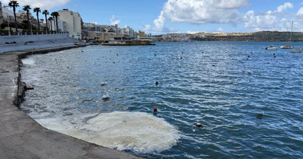 Balık çiftlikleri Buġibba'daki köpüğün kendileriyle ilgisi olmadığını söylüyor
