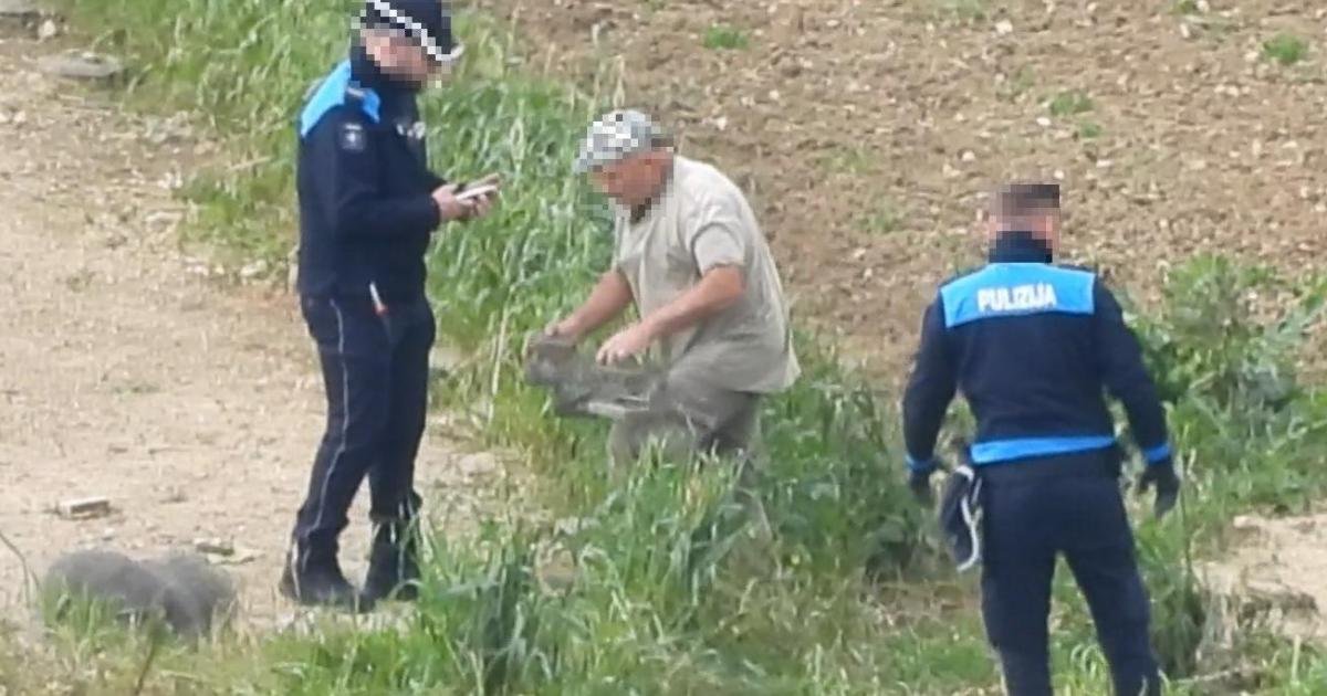 Gozo'da Tuzakçı Koruma Altındaki Kuşu Ayağıyla Ezerek Öldürdü