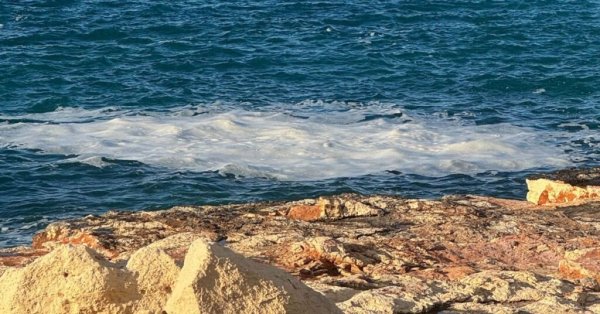 Baħar iċ-Ċagħaq Kıyısında Deniz Balçığı Görüldü