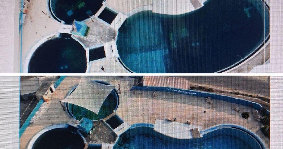 Yunus havuzundaki gölgelik fırtınada hasar gördü: Deniz parkı eleştirilere yanıt verdi