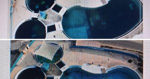 Yunus havuzundaki gölgelik fırtınada hasar gördü: Deniz parkı eleştirilere yanıt verdi