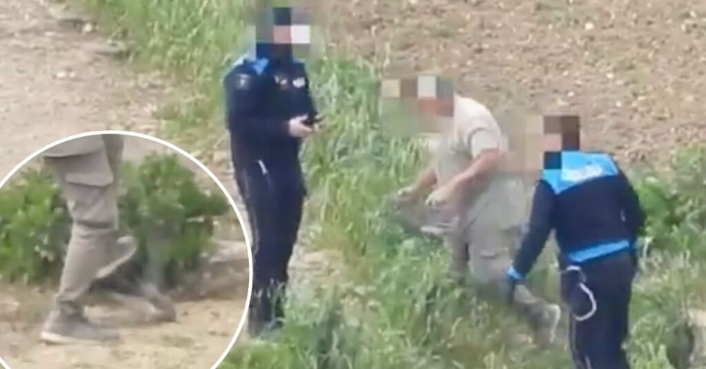 Gozo'da Tuzakçı Korunan Kerkenez Kuşunu Ayağıyla Ezerek Öldürdü