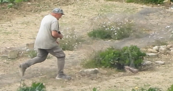 Gozo'da Korunan Kerkenez Kuşu Vahşice Öldürüldü: BirdLife Malta Olayı Şiddetle Kınadı