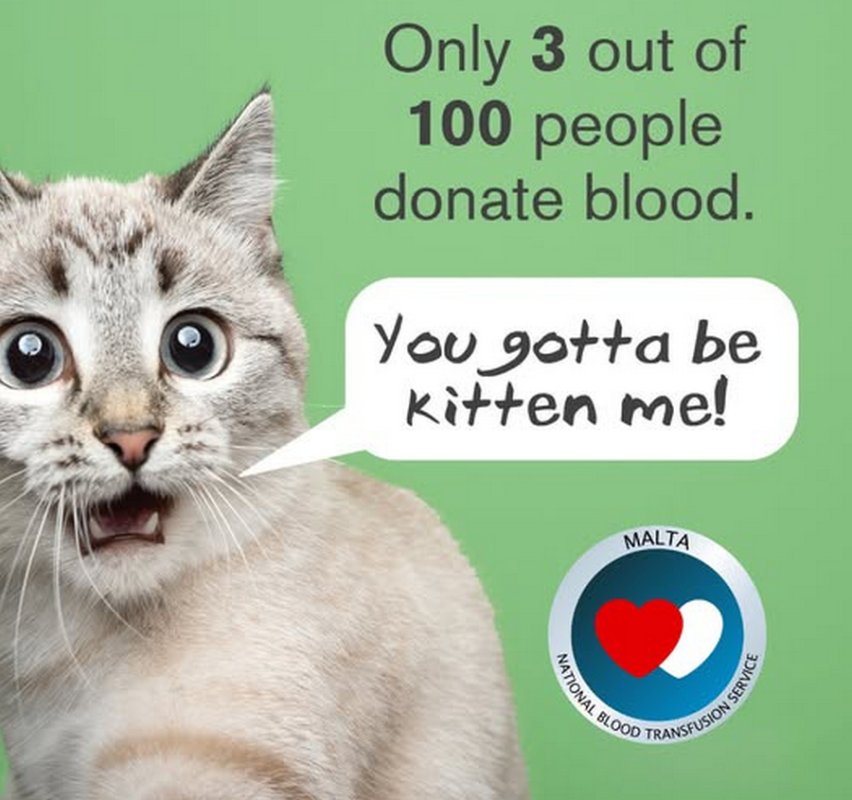 Gozo'da Salı Günü Xewkija'da Kan Bağışı Seansı Düzenlenecek