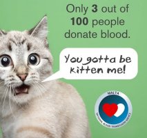 Gozo'da Salı Günü Xewkija'da Kan Bağışı Seansı Düzenlenecek