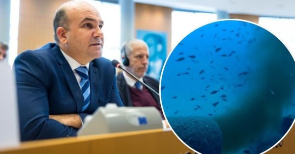 AP Milletvekili Peter Agius, Malta Denizlerindeki Kanalizasyon Kirliliğine Karşı Acil Müdahale Çağrısı Yaptı