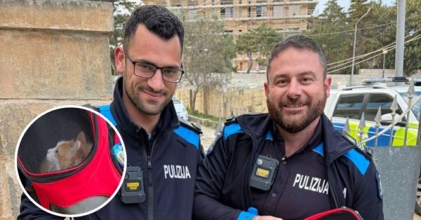 Polis Memurları İnşaat Alanında Mahsur Kalan Yaşlı Kedi Minnie'yi Kurtardı