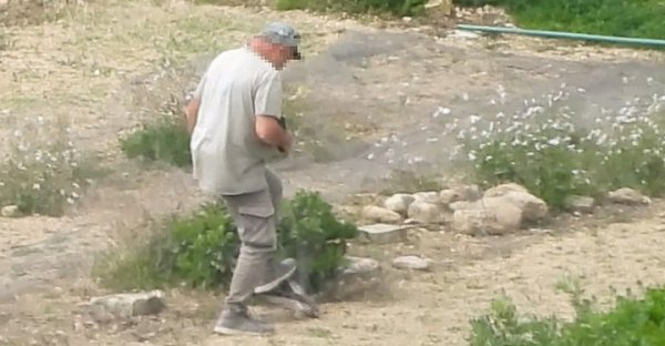 Gozo'da Tuzakçı Korunan Kerkenez Kuşunu Yakalayıp 'Vahşice Öldürürken' Kameraya Yakalandı