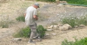 Gozo'da Tuzakçı Korunan Kerkenez Kuşunu Yakalayıp 'Vahşice Öldürürken' Kameraya Yakalandı