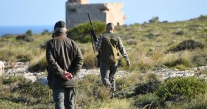 Malta'da Bahar Bıldırcın ve Üveyik Avı Sezonu Tarihleri Açıklandı