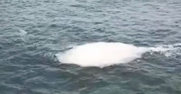 Buġibba Kıyısındaki Köpük Tartışması: Operatörler 'Balçık Demeyin, Bu Doğal Bir Olay' Diyor