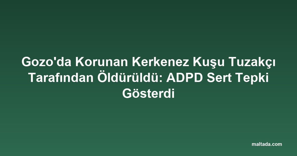 Gozo'da Korunan Kerkenez Kuşu Tuzakçı Tarafından Öldürüldü: ADPD Sert Tepki Gösterdi