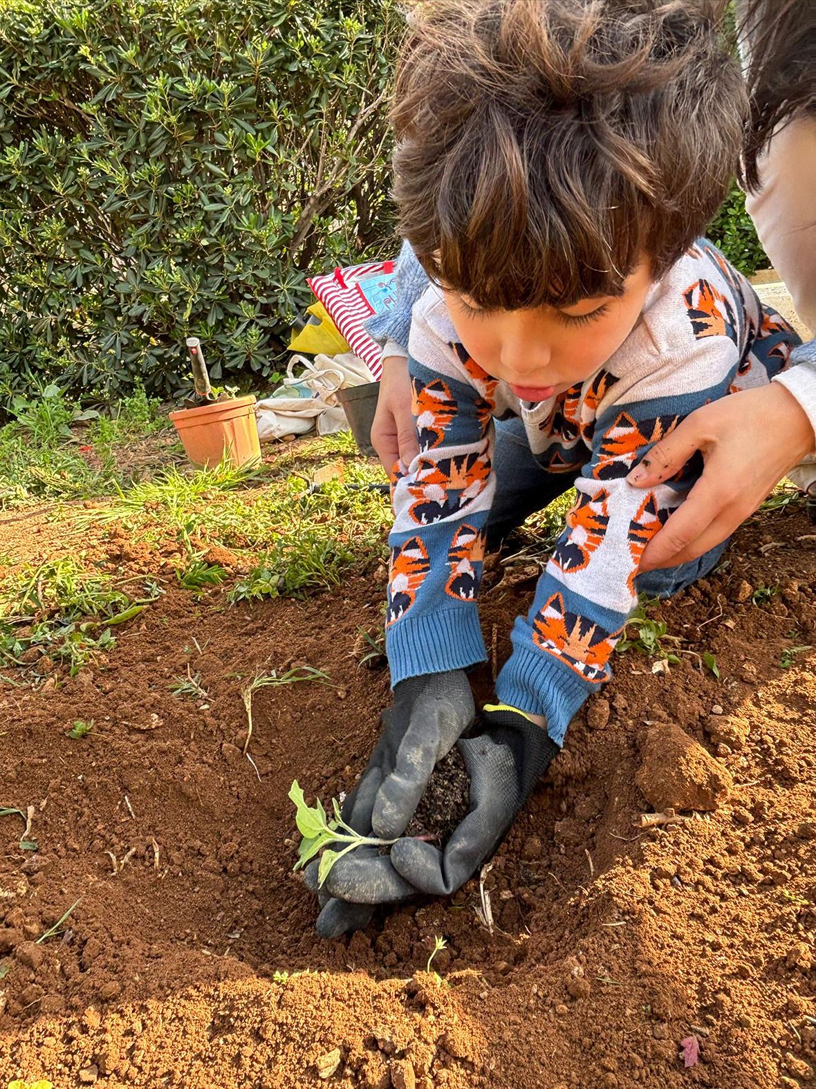 Ramona Mercieca'nın öğrencileri tarımı deneyimliyor