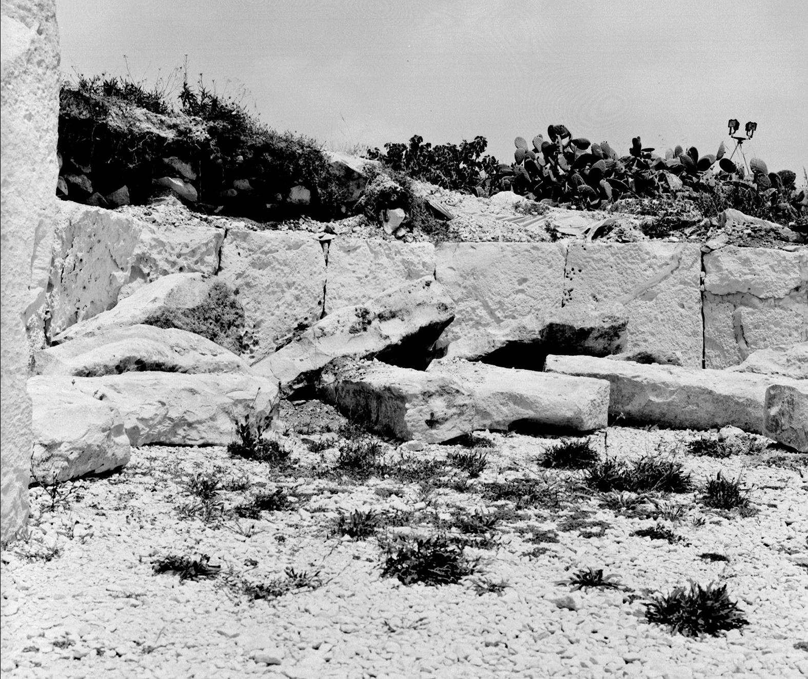 Vandalizmin açıkça 'sistematik' olduğu görülüyor.