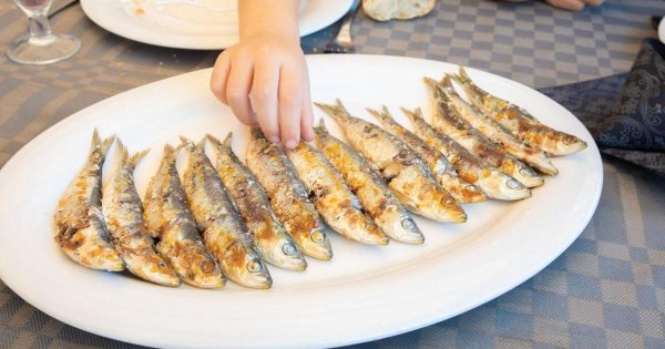 Okullarda 'Balık Cumaları' Pilot Projesi Bu Ay Başlıyor