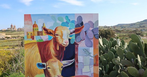 Malta Keçisi Sessizce Yok Oluyor: Bin'den Az Hayvan Kaldı