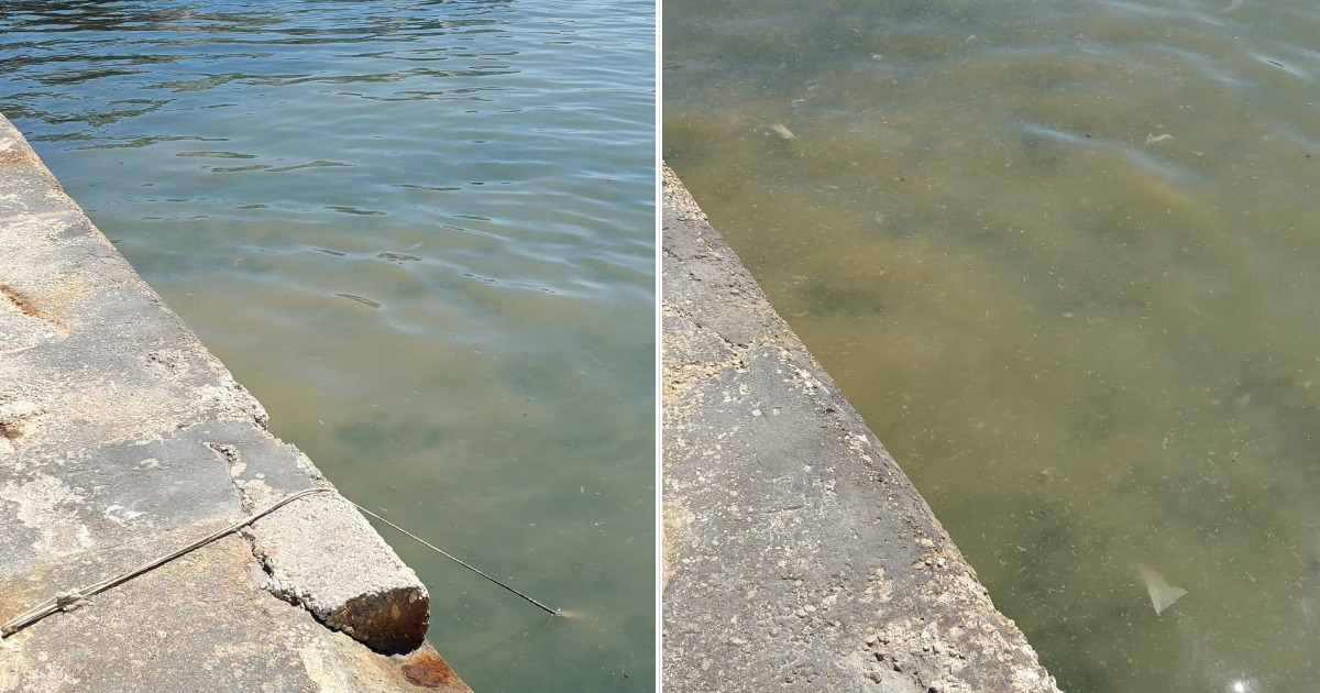 Sliema Ferries'de Kötü Koku: Sakinler Arıtılmamış Kanalizasyondan Şüpheleniyor