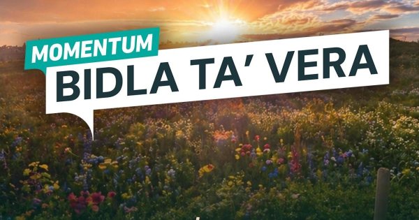 Momentum Seçim Sloganını Açıkladı: 'Bidla ta' Vera'