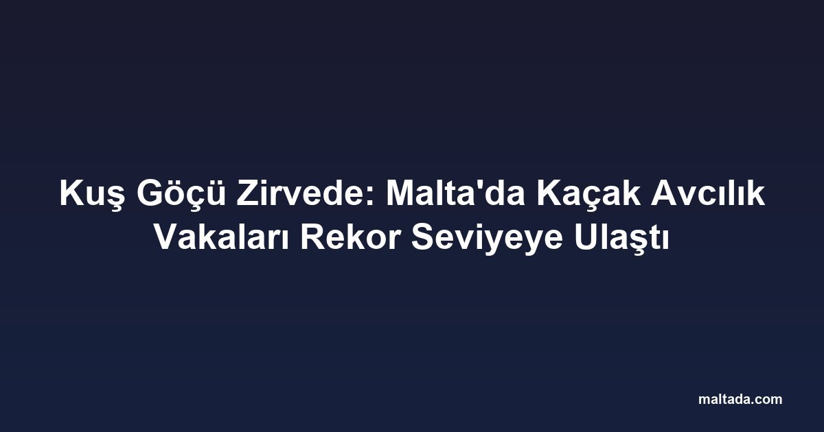 Kuş Göçü Zirvede: Malta'da Kaçak Avcılık Vakaları Rekor Seviyeye Ulaştı