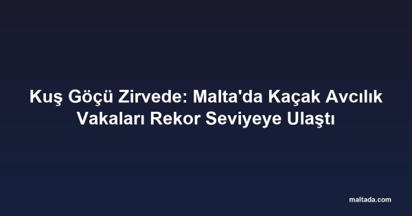 Kuş Göçü Zirvede: Malta'da Kaçak Avcılık Vakaları Rekor Seviyeye Ulaştı