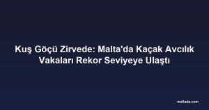 Kuş Göçü Zirvede: Malta'da Kaçak Avcılık Vakaları Rekor Seviyeye Ulaştı