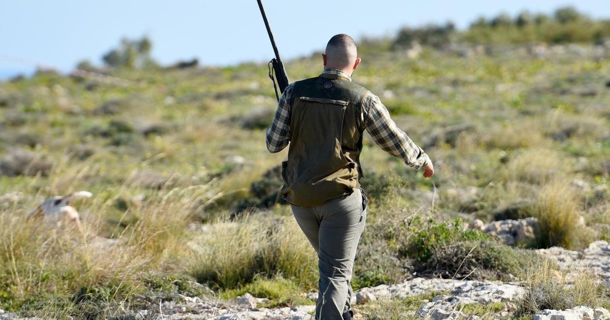 Ömür Boyu Av Yasağına Rağmen Koruma Altındaki Kuşları Vuran Avcıya 3 Yıl Hapis