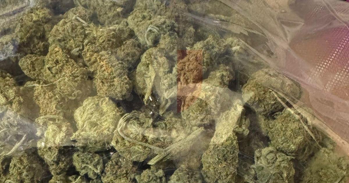 Paola'da Bir Parkta Esrar ile Yakalanan Şüpheli Gözaltına Alındı