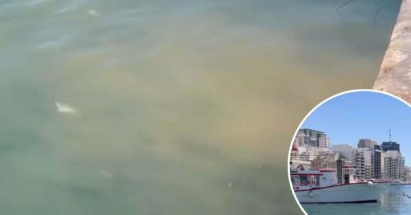 Sliema Feribotu Önünde Denize Akan Kanalizasyon Tepki Topladı