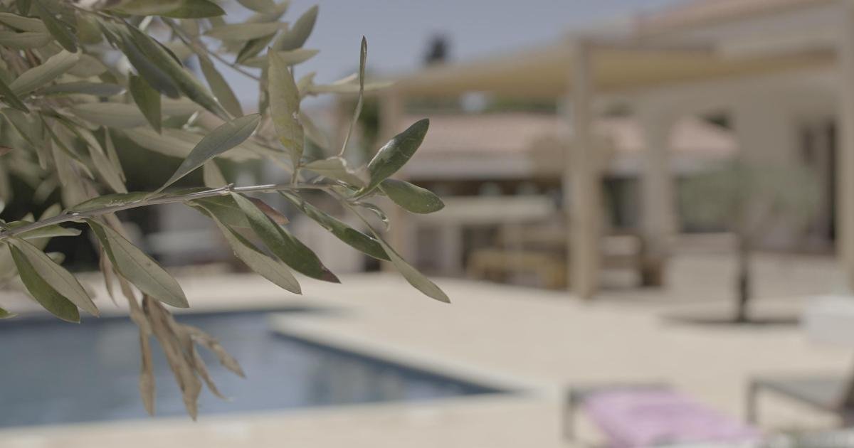 Oyun sektörü yöneticisi arkadaşına saldırı suçlamasından beraat etti