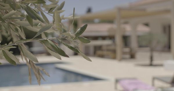 Oyun sektörü yöneticisi arkadaşına saldırı suçlamasından beraat etti