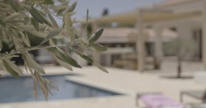 Oyun sektörü yöneticisi arkadaşına saldırı suçlamasından beraat etti