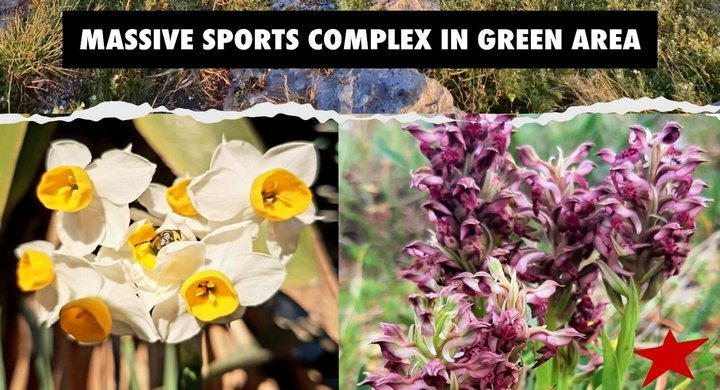 Sivil Toplum Kuruluşları Pembroke Spor Kompleksi Planından 'Ciddi Endişe' Duyuyor