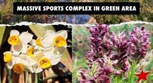 Sivil Toplum Kuruluşları Pembroke Spor Kompleksi Planından 'Ciddi Endişe' Duyuyor