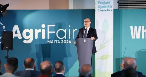 Malta'nın Yerli Sığır, Koyun, Keçi ve Tavuk Irkları Koruma Altına Alınıyor