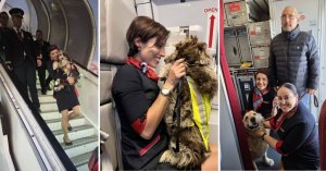 Service Dogs Malta Vakfı, KM Malta Airlines Ekibine Uçuş Desteği İçin Teşekkür Etti