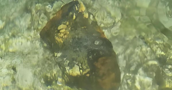 Għar Lapsi'de Dalıcı Birinci Dünya Savaşı Öncesine Ait Patlamamış Bomba Buldu