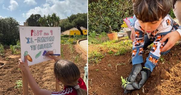 Öğrencilerinin Toprak İşleyecek Yeri Yoktu, Sonra Hastane Bahçesindeki Bakımsız Araziyi Gördü