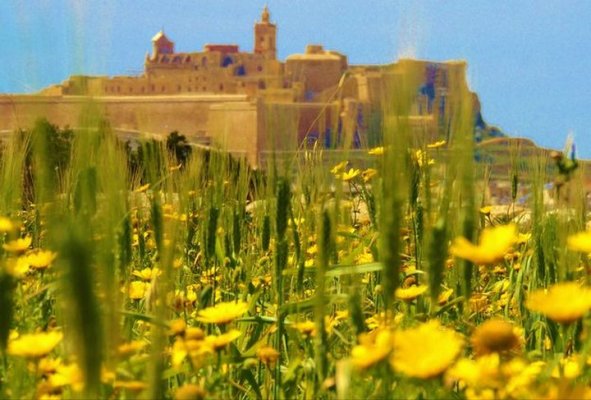 Gozo'da Bahar 2026: Tüm Aile İçin 5 Haftalık Etkinlik Programı