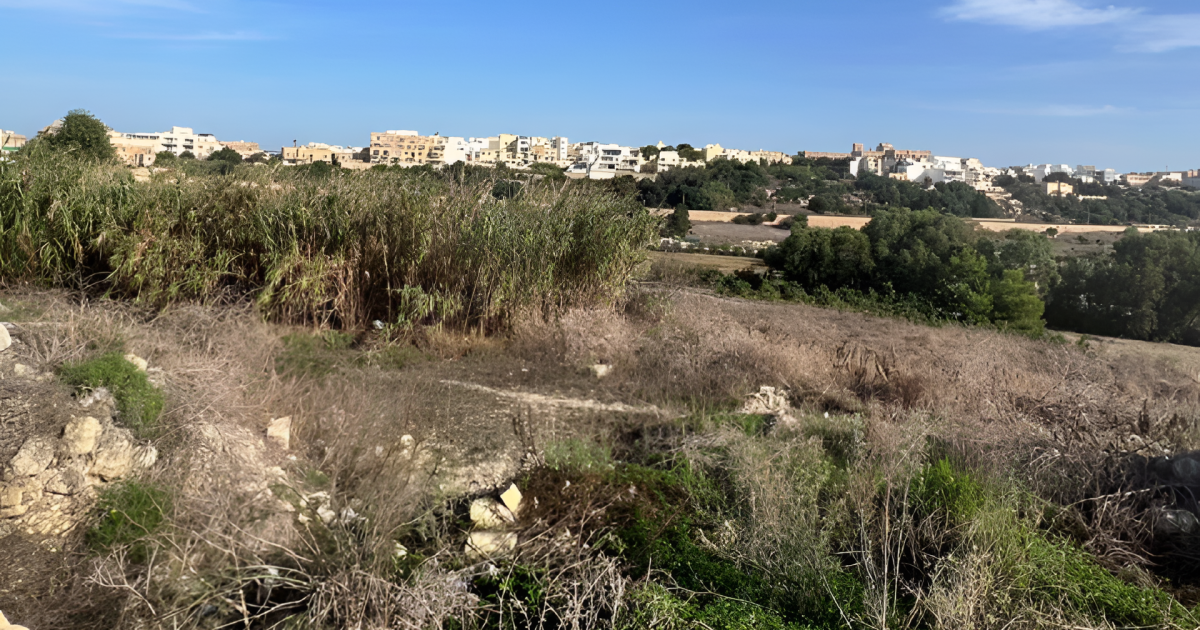 Malta'da Vatandaşlar ve Aktivistler 'Zombi' İnşaat İzinleri İçin Hükümeti Mahkemeye Verdi