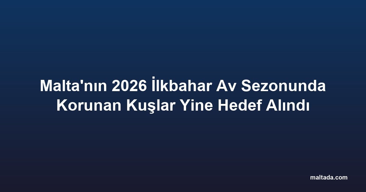 Malta'nın 2026 İlkbahar Av Sezonunda Korunan Kuşlar Yine Hedef Alındı