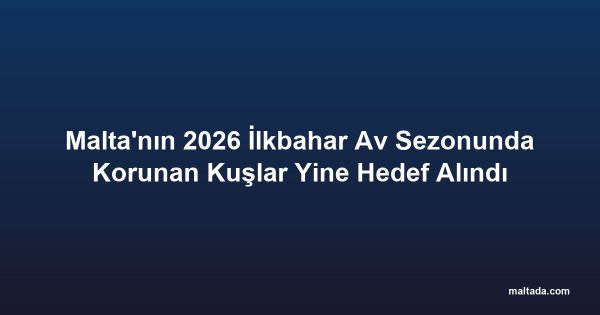 Malta'nın 2026 İlkbahar Av Sezonunda Korunan Kuşlar Yine Hedef Alındı