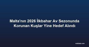 Malta'nın 2026 İlkbahar Av Sezonunda Korunan Kuşlar Yine Hedef Alındı