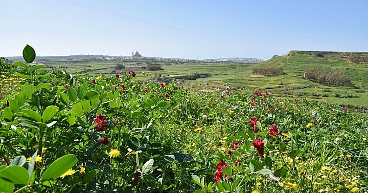 Gozo Ayrı Bir Ada Bölgesi Olarak Tanınmalı – Gozo İş Odası