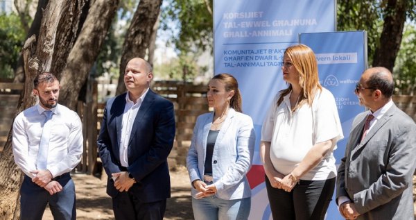 Yerel Konseylerde Hayvan İlk Yardım Kursları İçin Başvurular Başladı