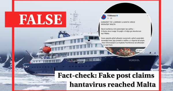 Doğrulama: Malta'da hantavirüs tespit edildiği iddiası asılsız