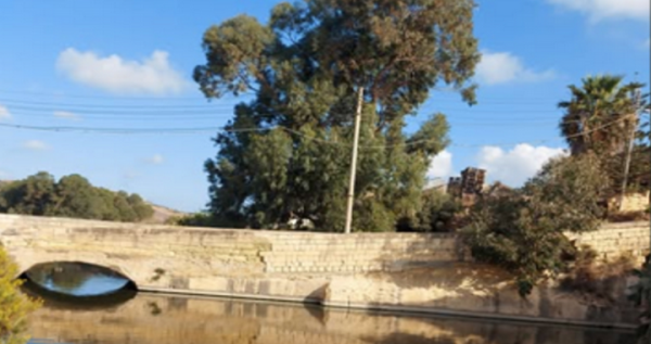Gozo'da E. coli Tehlikesi: Yetkililer Halk Sağlığı Riskini Yıllarca Gizledi mi?
